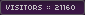 Visitor Counter